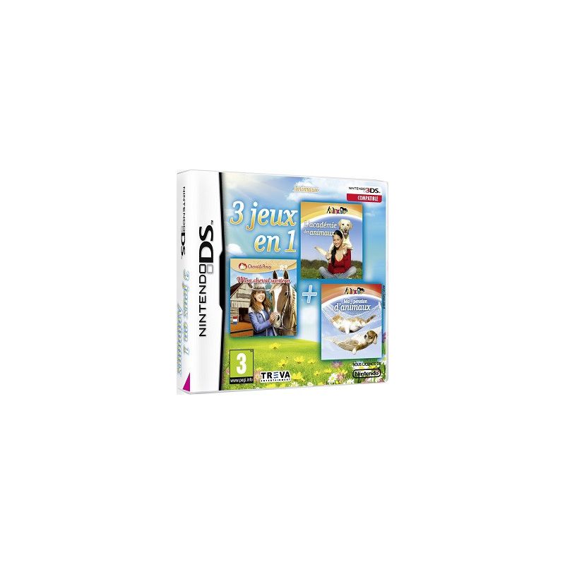 Nintendo DS