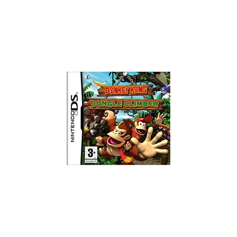 Nintendo DS