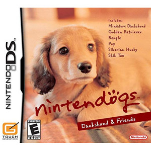 Nintendo DS
