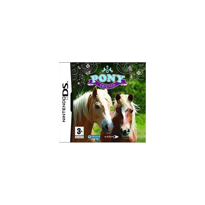 Nintendo DS