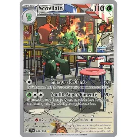 Carte à Collectionner - Pokémon