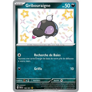 Carte à Collectionner - Pokémon
