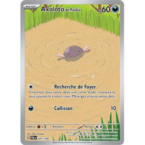 Carte à Collectionner - Pokémon