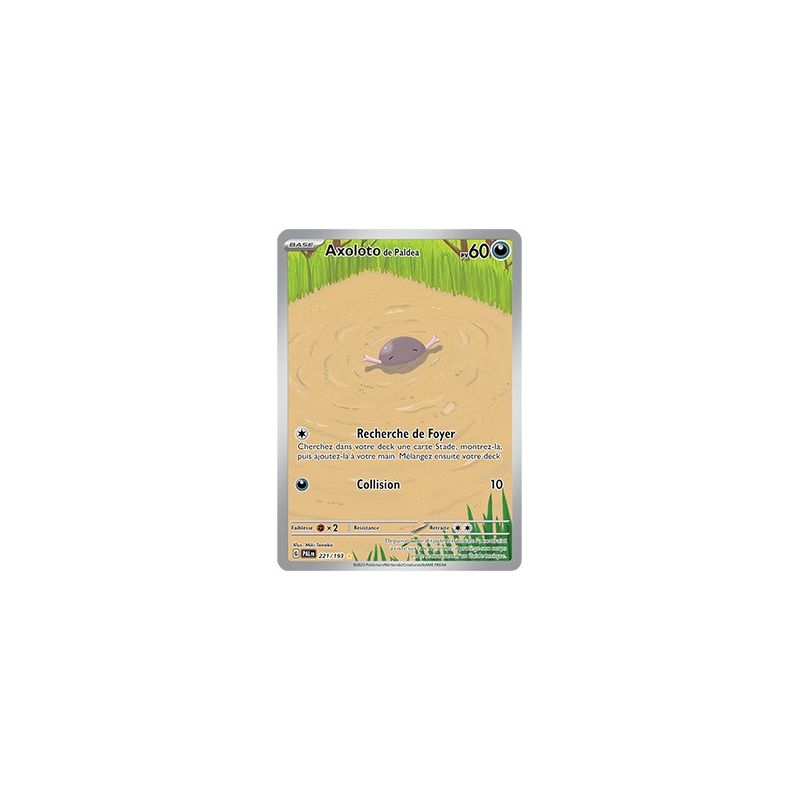 Carte à Collectionner - Pokémon