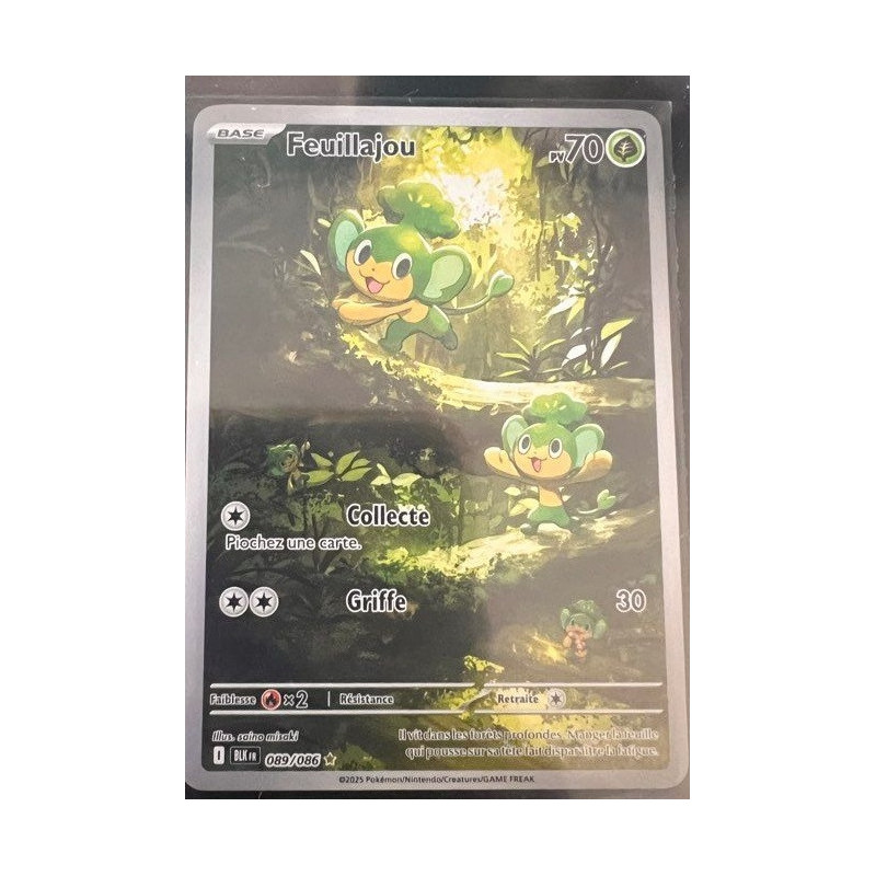 Carte à Collectionner - Pokémon