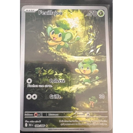 Carte à Collectionner - Pokémon