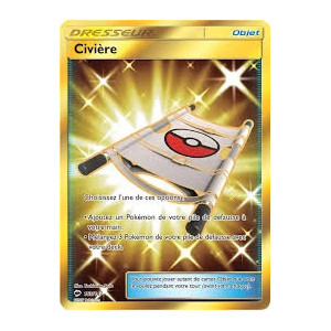 Carte à Collectionner - Pokémon