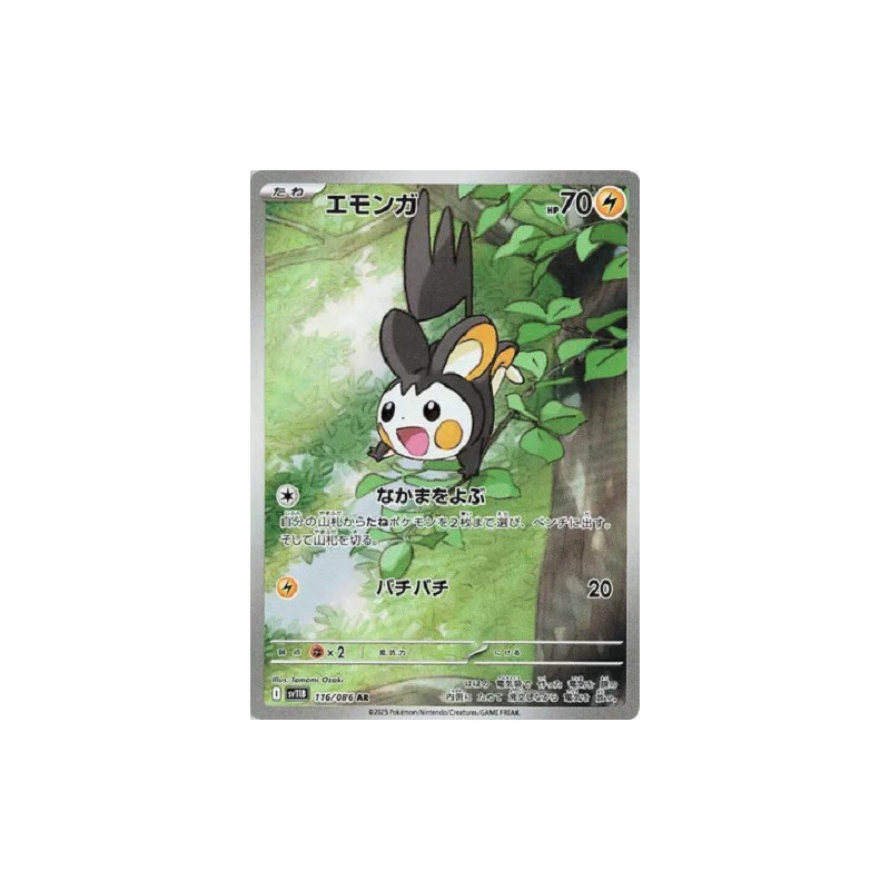 Carte à Collectionner - Pokémon