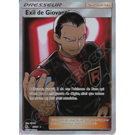 Carte à Collectionner - Pokémon