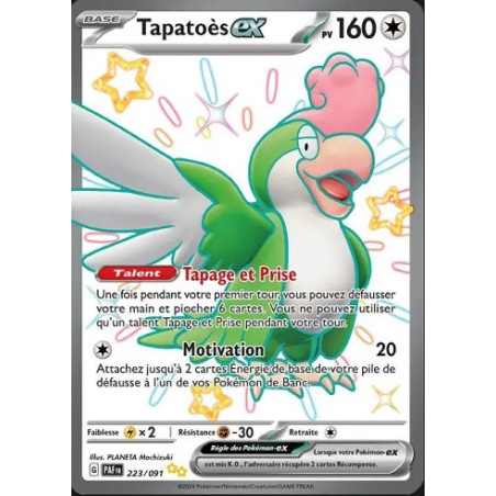 Carte à Collectionner - Pokémon