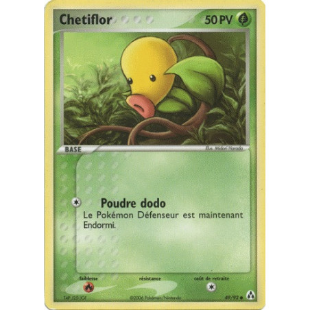 Carte à Collectionner - Pokémon