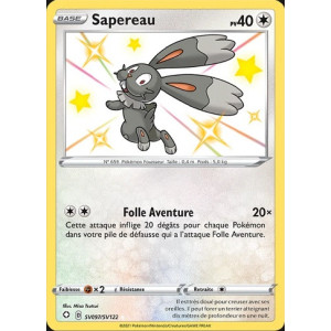 Carte à Collectionner - Pokémon