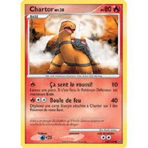Carte à Collectionner - Pokémon