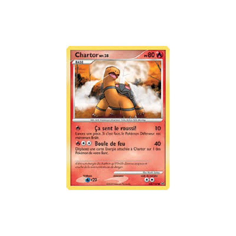 Carte à Collectionner - Pokémon