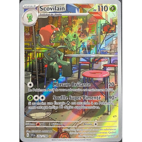 Carte à Collectionner - Pokémon