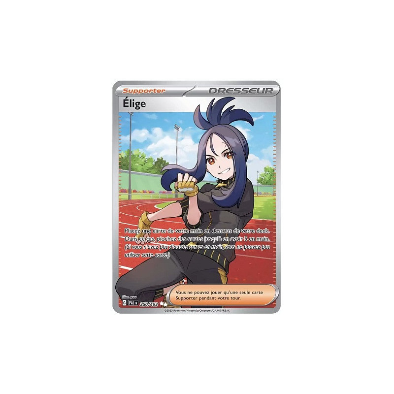 Carte à Collectionner - Pokémon