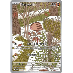 Carte à Collectionner - Pokémon