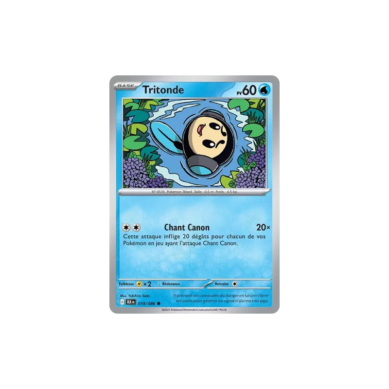 Carte à Collectionner - Pokémon