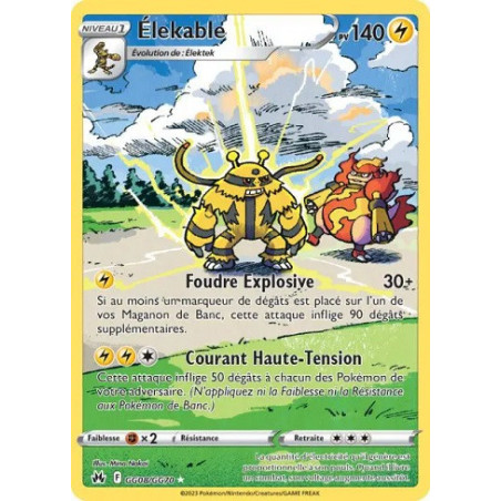 Carte à Collectionner - Pokémon