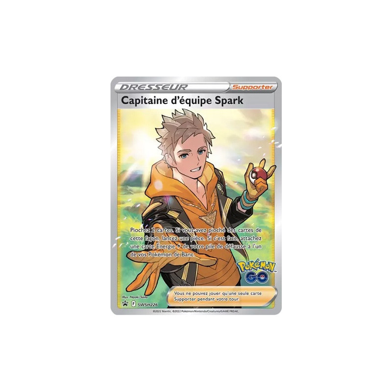 Carte à Collectionner - Pokémon