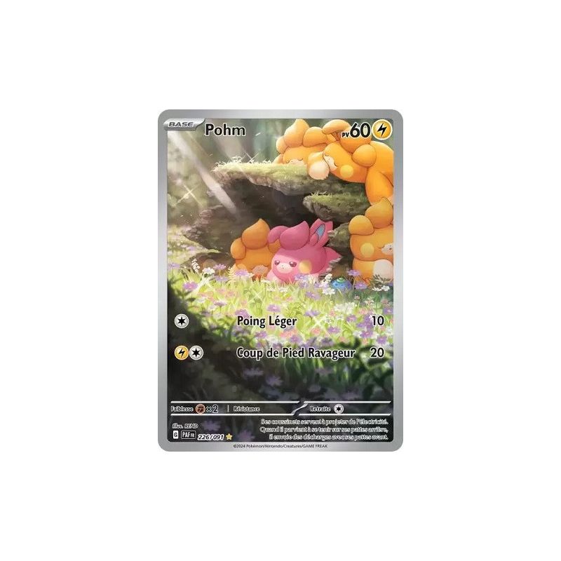 Carte à Collectionner - Pokémon