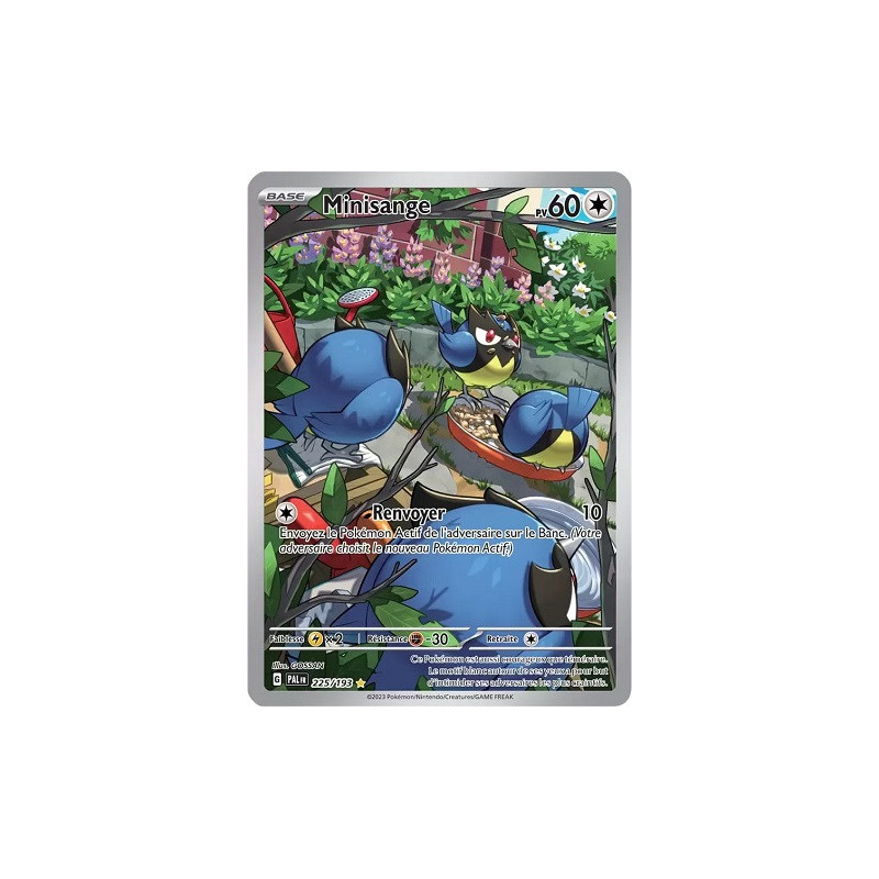 Carte à Collectionner - Pokémon