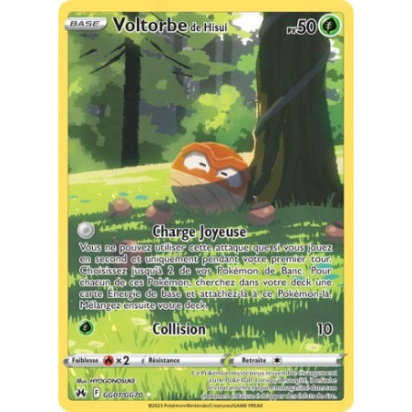 Carte à Collectionner - Pokémon