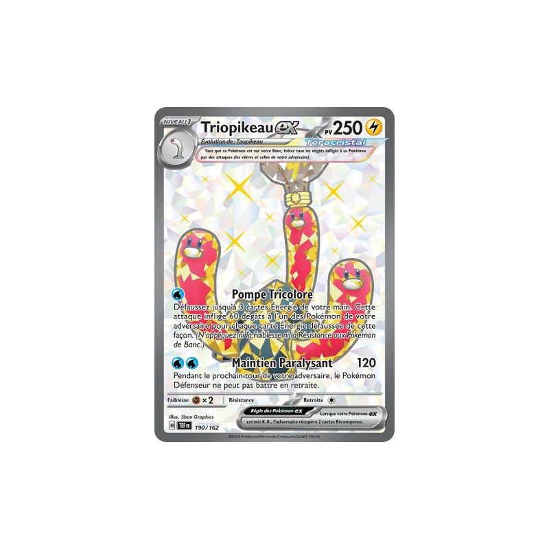 Carte à Collectionner - Pokémon