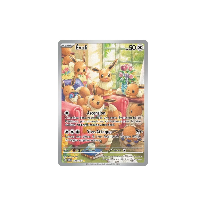 Carte à Collectionner - Pokémon