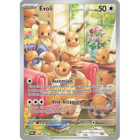 Carte à Collectionner - Pokémon