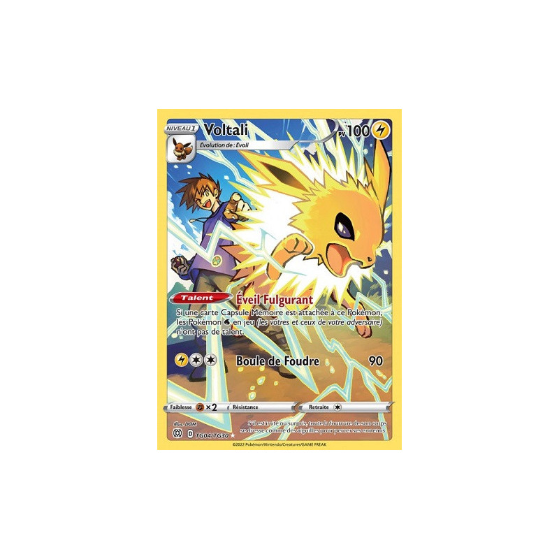 Carte à Collectionner - Pokémon