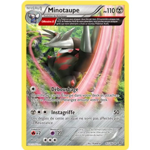 Carte à Collectionner - Pokémon