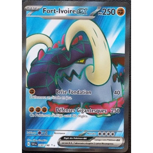 Carte à Collectionner - Pokémon