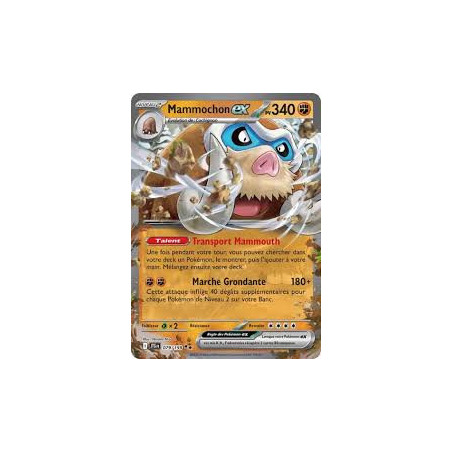 Carte à Collectionner - Pokémon