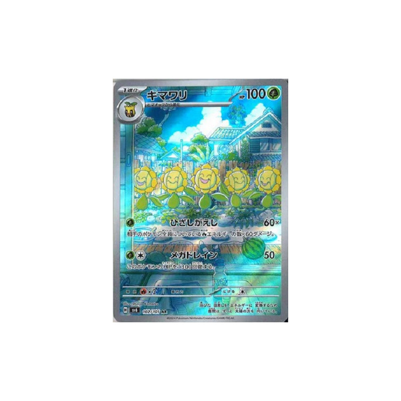 Carte à Collectionner - Pokémon