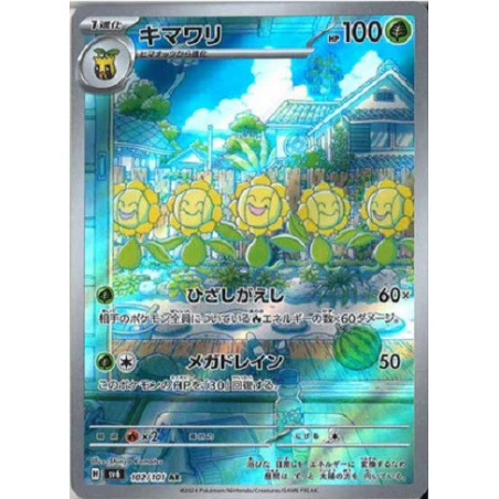 Carte à Collectionner - Pokémon