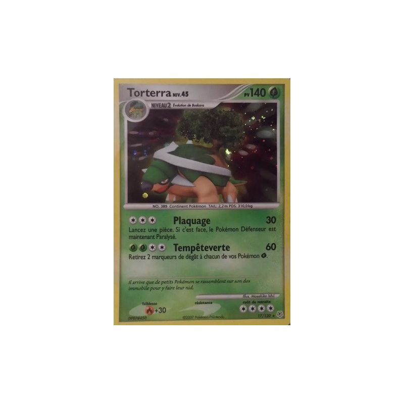 Carte à Collectionner - Pokémon