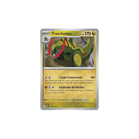 Carte à Collectionner - Pokémon