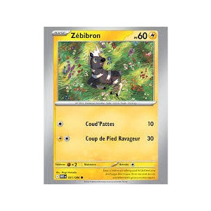 Carte à Collectionner - Pokémon