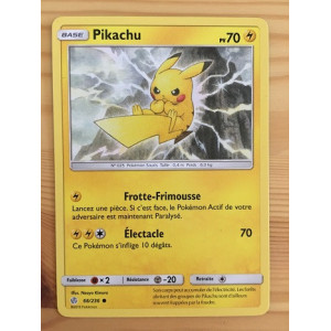 Carte à Collectionner - Pokémon
