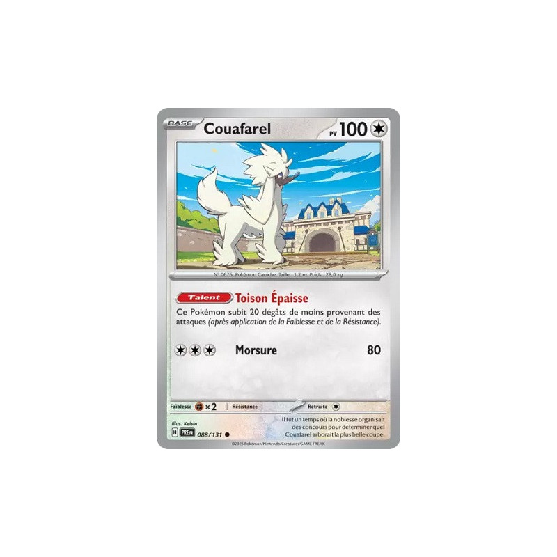 Carte à Collectionner - Pokémon