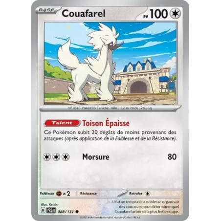 Carte à Collectionner - Pokémon
