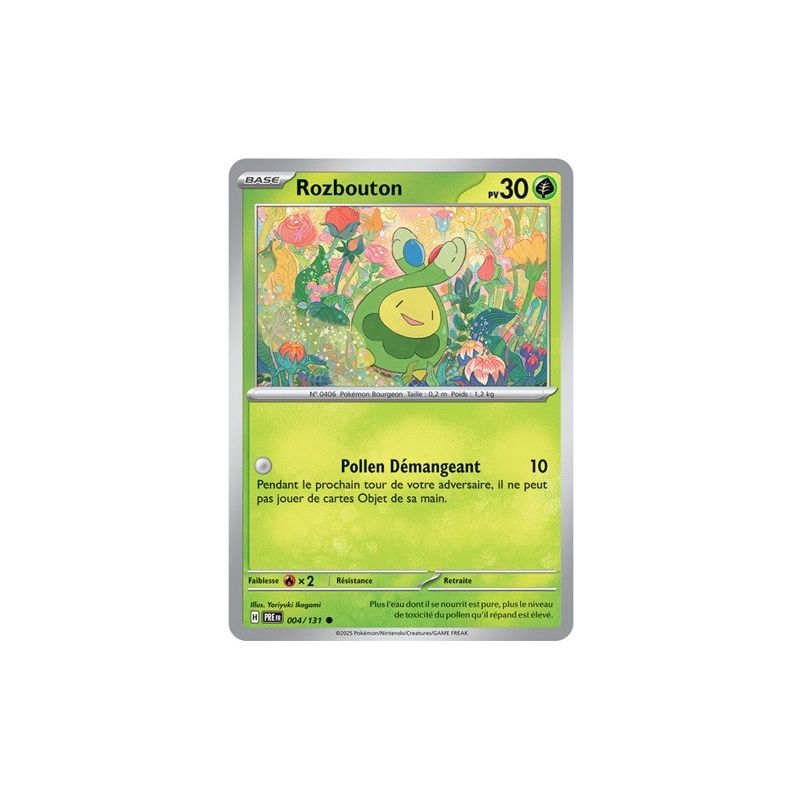 Carte à Collectionner - Pokémon