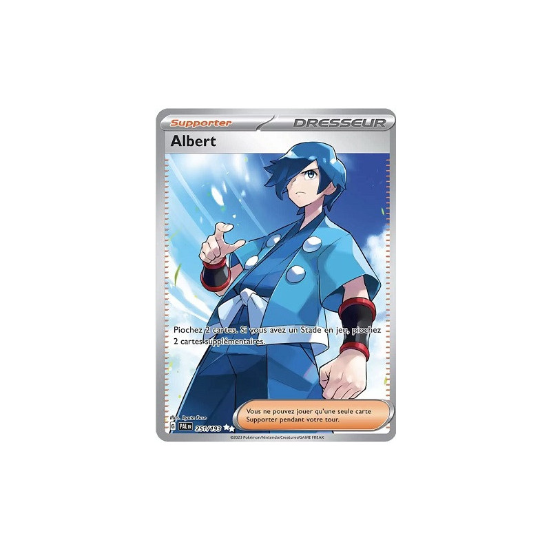 Carte à Collectionner - Pokémon