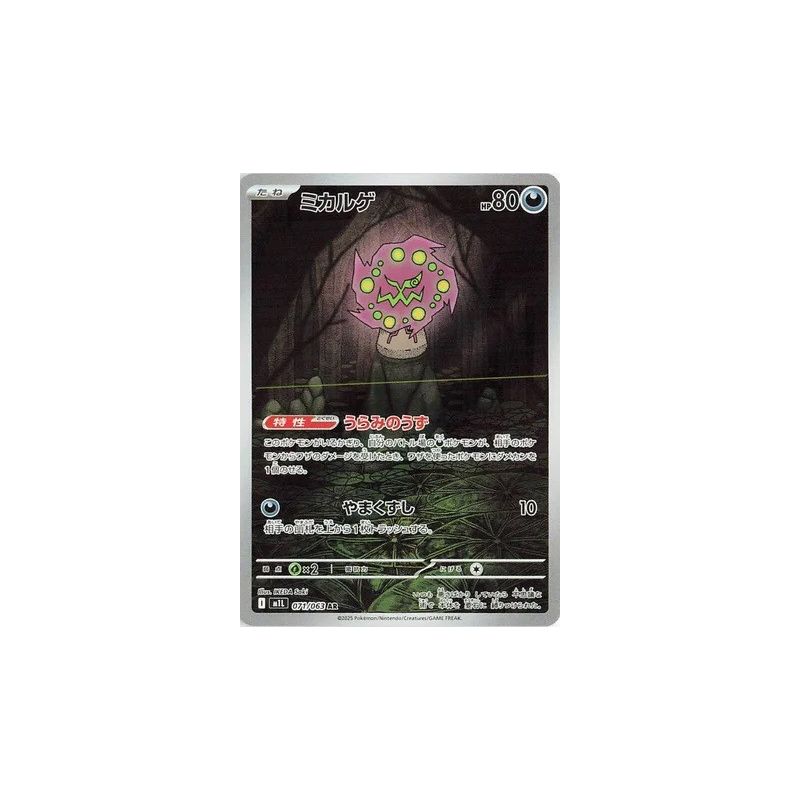 Carte à Collectionner - Pokémon