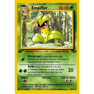 Carte à Collectionner - Pokémon