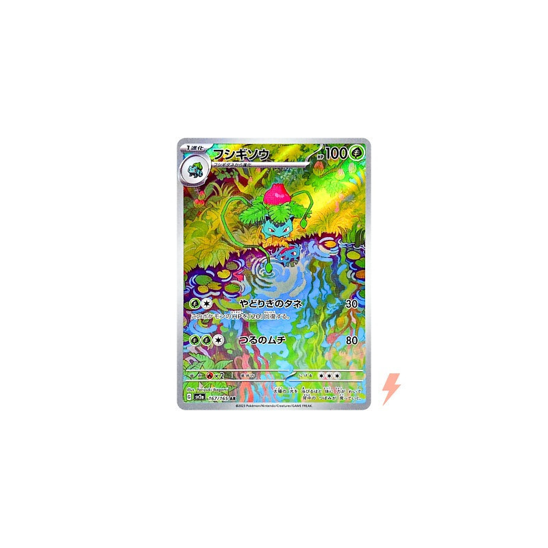 Carte à Collectionner - Pokémon