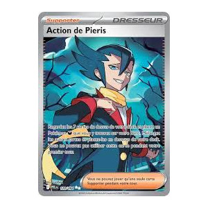 Carte à Collectionner - Pokémon