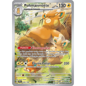 Carte à Collectionner - Pokémon