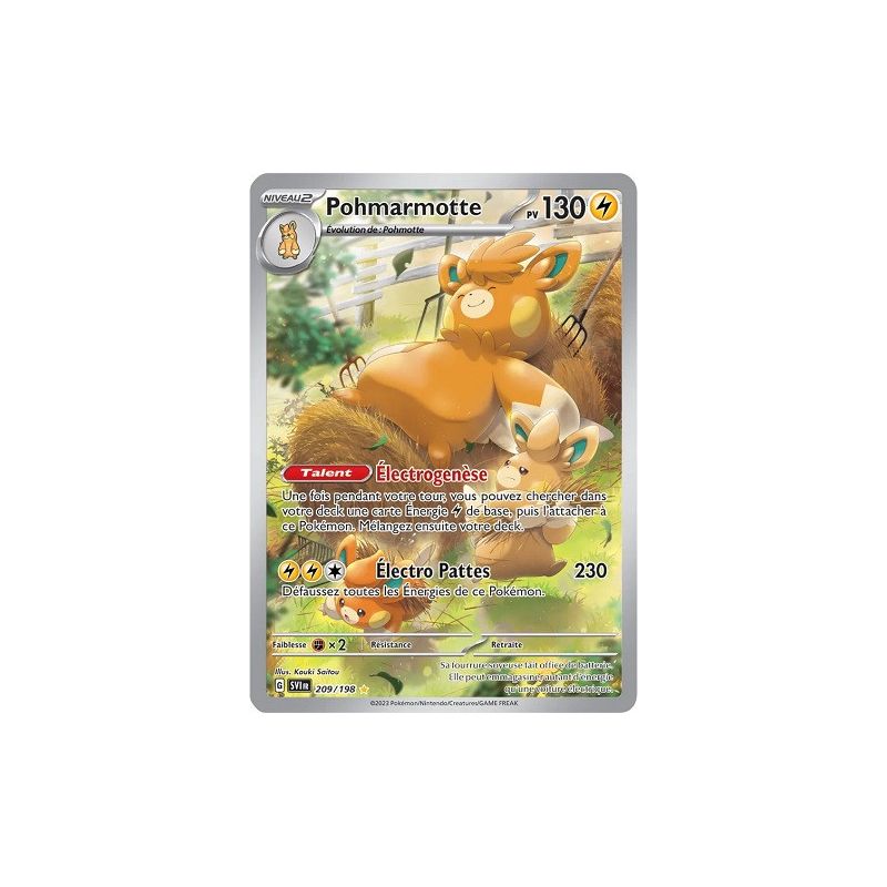 Carte à Collectionner - Pokémon